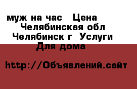 муж на час › Цена ­ 100 - Челябинская обл., Челябинск г. Услуги » Для дома   